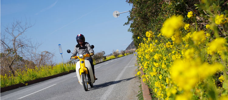 房総フラワーライン 千葉県道257号 国道410号 千葉県道297号線 バイクロード100選 Bike Life Lab バイク王