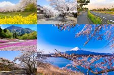 【東京近郊】春に出かけたい4月のバイクツーリングスポット10選! 【東京近郊】春に出かけたい4月のバイクツーリングスポット10選!