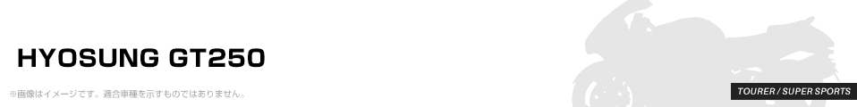 HYOSUNG GT250 パーツを探す