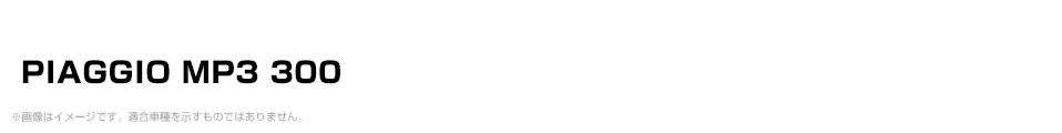 PIAGGIO MP3 300 パーツを探す