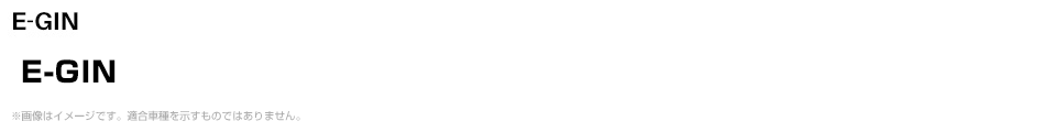 E-GIN