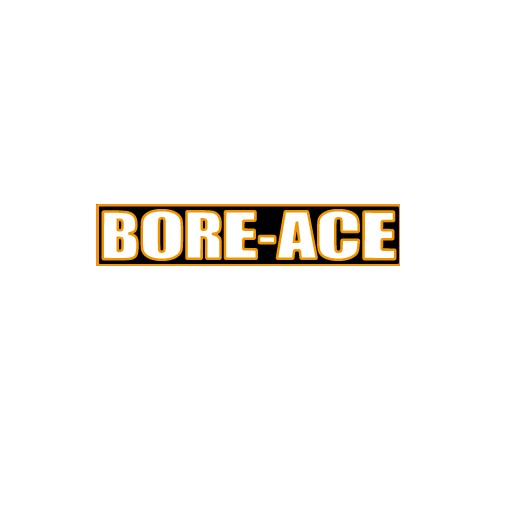 マルチメーターステー（BORE-ACEライトステー専用） シルバー BORE-ACE（ボアエース） SR400