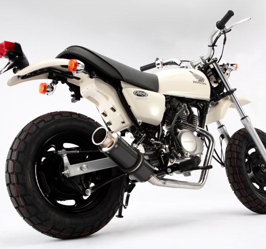 エイプ100 BEAMS製 SS300カーボン ダウンタイプ