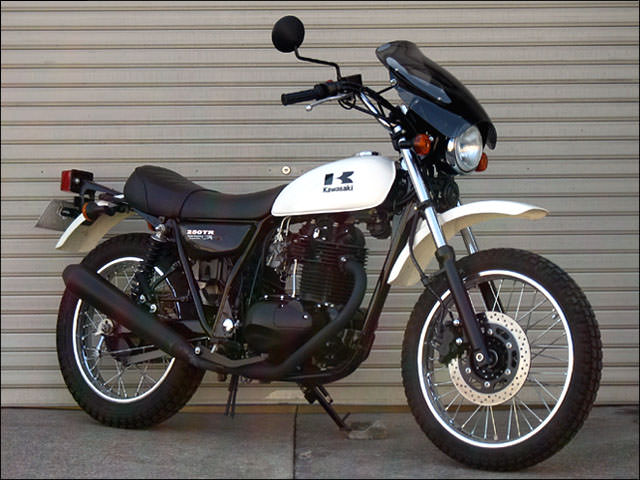 ガイラシールド Sサイズ スモーク CHIC DESIGN（シックデザイン） 250TR（02年〜）