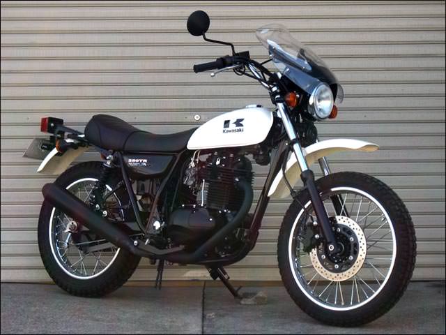 ガイラシールド Mサイズ スモーク CHIC DESIGN（シックデザイン） 250TR（02年〜）