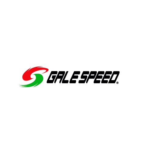 フロント用 350-17 ソリッドホワイト （TYPE-GP1S） GALE SPEED（ゲイルスピード） ZX-25R/SE（20〜21年）