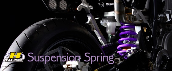 コンビキット （フロント/リアスプリング）  ハイパープロ（HYPER PRO） TMAX530 SX（17〜19年）