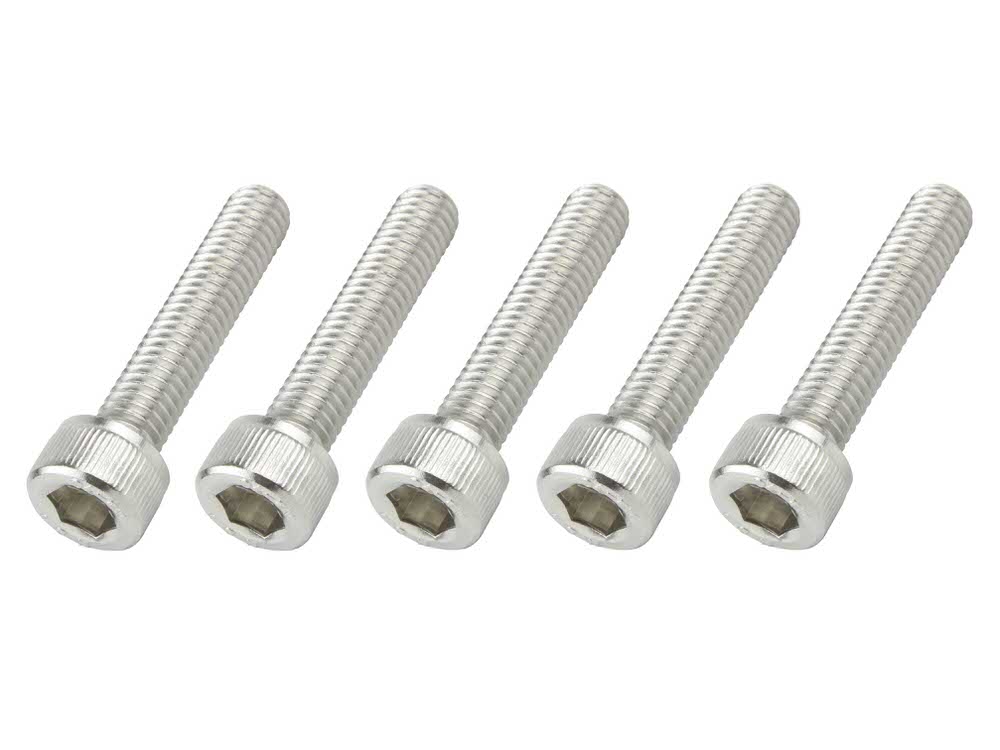 ステンレスキャップボルト M6×30mm（5本入） POSH（ポッシュ）
