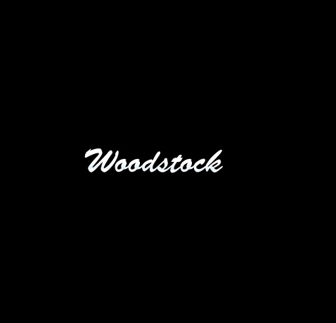 Ninja H2 - 足回り - woodstock（ウッドストック） バイク王ダイレクト