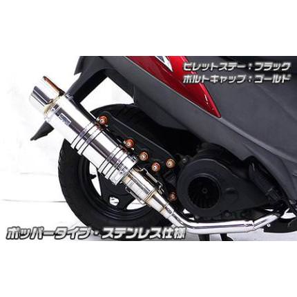 アニバーサリーマフラー ポッパータイプステンレス ウイルズウィン（WirusWin）  アドレスV125S