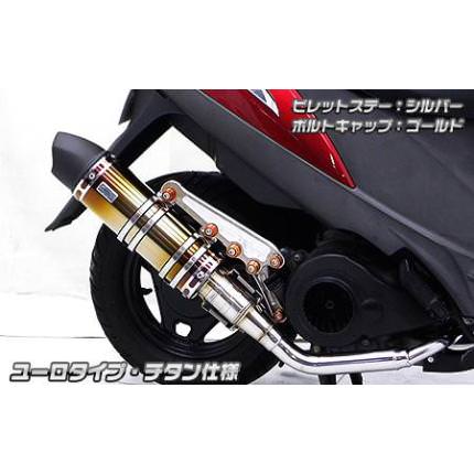 アニバーサリーマフラーユーロタイプブラックチタン仕様 ウイルズウィン（WirusWin）  アドレスV125S