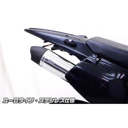 スリップオンマフラー ユーロタイプ ステンレス ウイルズウィン Dトラッカー 型式:BA-LX250E