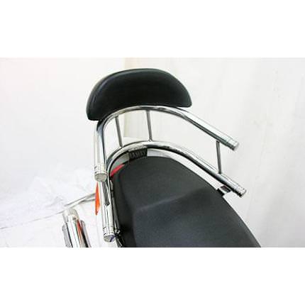 バックホールドタンデムバー エレガントタイプ ウイルズウィン（WirusWin） シグナスX（CYGNUS-X）国内SE12J