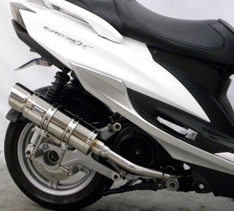 ロイヤルマフラー ポッパータイプ ステンレス ウイルズウィン（WirusWin） シグナスX（CYGNUS-X）4型