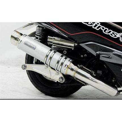 アルティメットマフラーシルバーカーボン ウイルズウィン（WirusWin）フォルツァ（FORZA）MF10