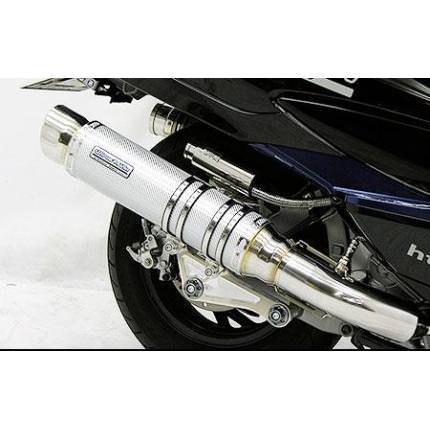 アルティメットマフラーシルバーカーボン ウイルズウィン（WirusWin）スカイウェイブ（CJ44・45・46）