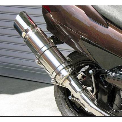 ビーストマフラー タイプE ウイルズウィン（WirusWin）スカイウェイブ（CJ43）