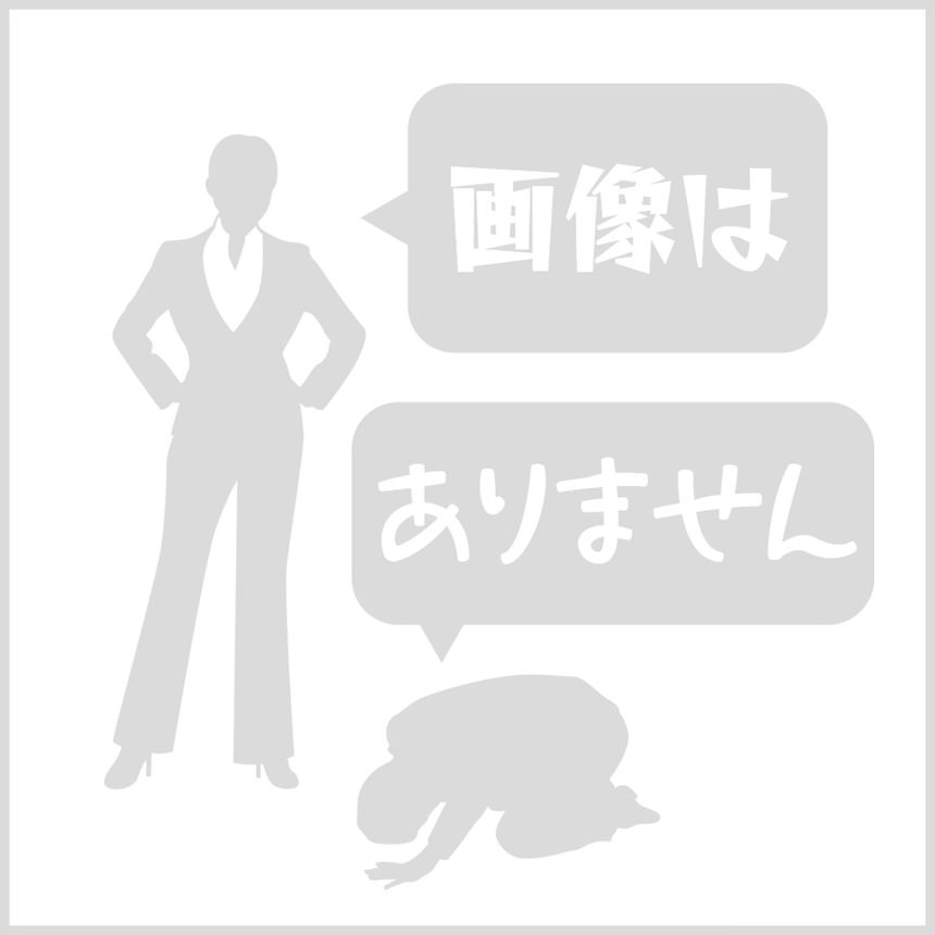 スクリーン スポーツツーリング クリア ゼログラビティ（ZERO GRAVITY） ZZR1100D（93〜01年）