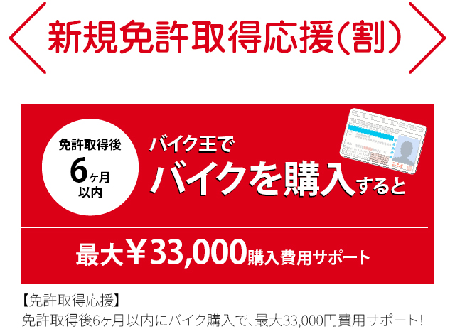 新規免許取得応援(割）